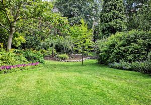 Optimiser l'expérience du jardin à Ferrals-les-Corbieres